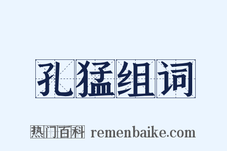 孔猛组词是什么意思的图片